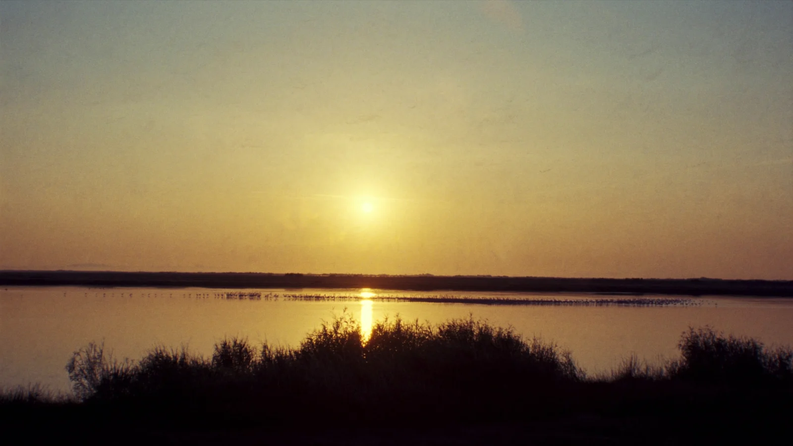 Luz dorada sobre una laguna del Delta del Ebro al atardecer
