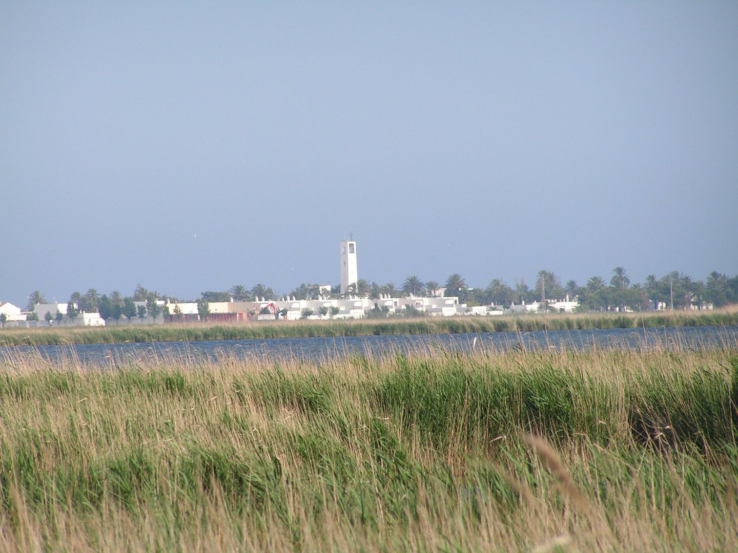 Laguna del Delta del Ebro entre cañizares