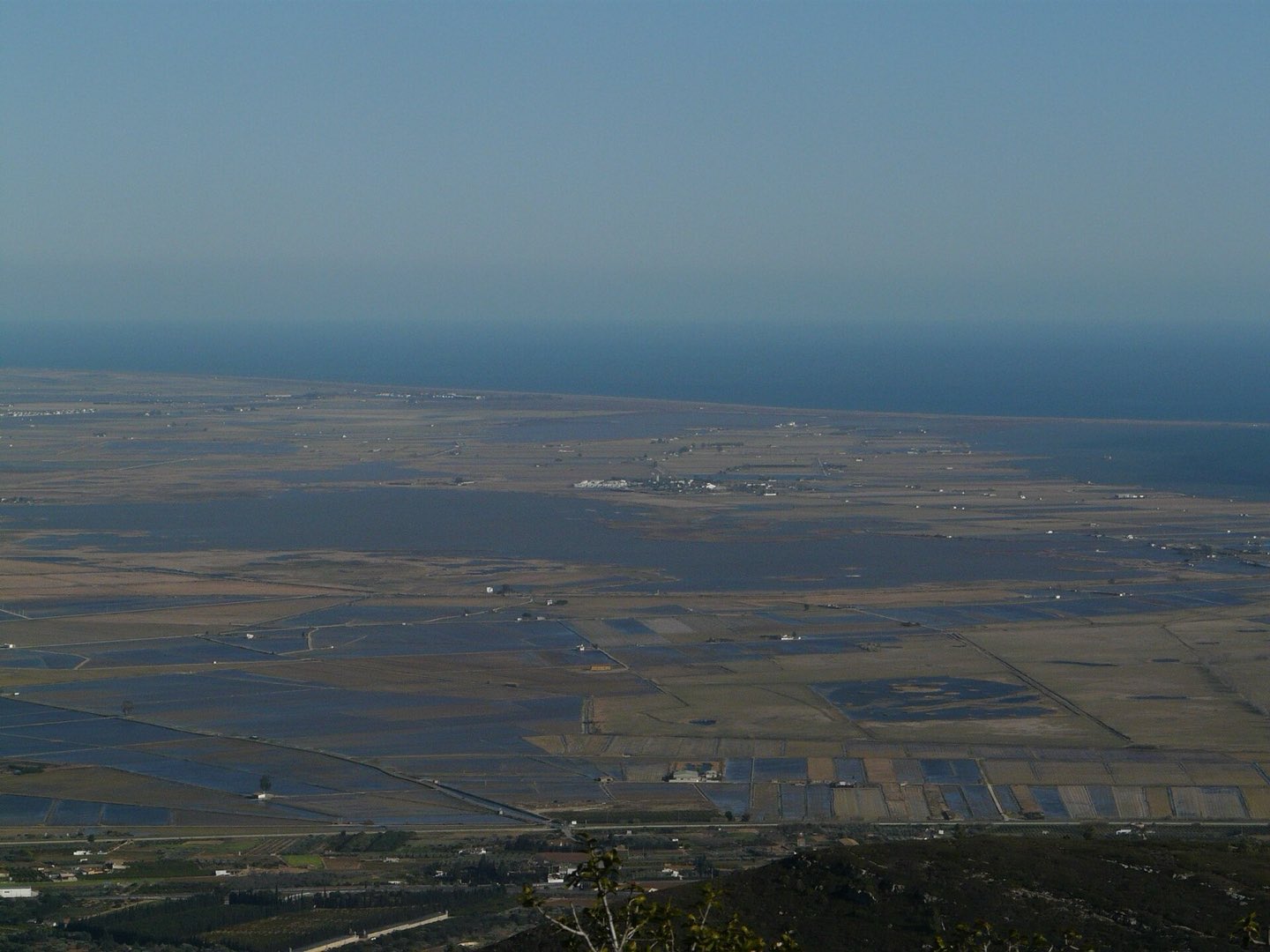 Laguna del Delta del Ebro entre cañizares