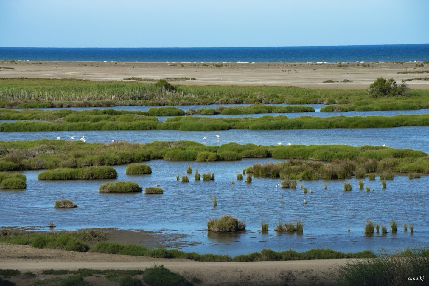 Playa y paisaje litoral del Delta del Ebro