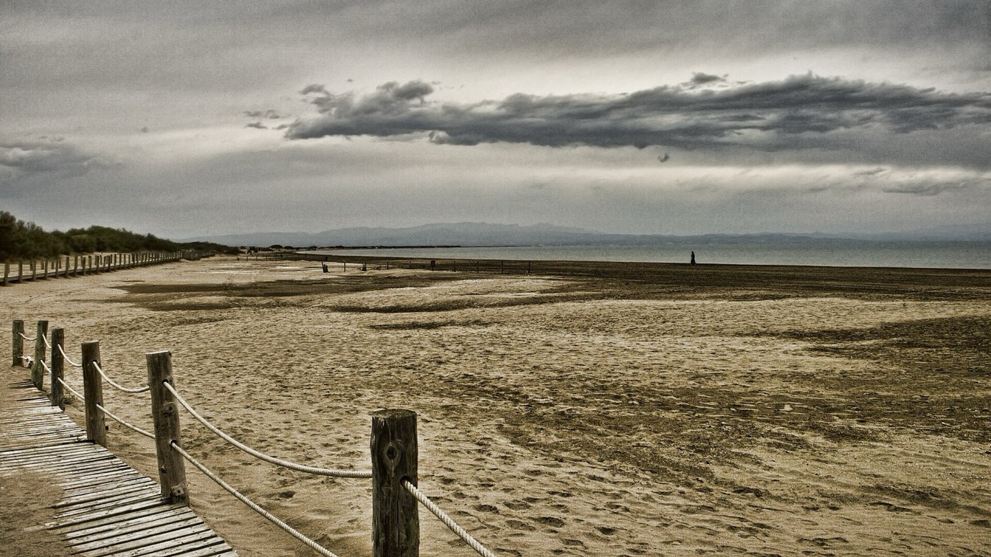 Dunas y playa virgen del Delta del Ebro