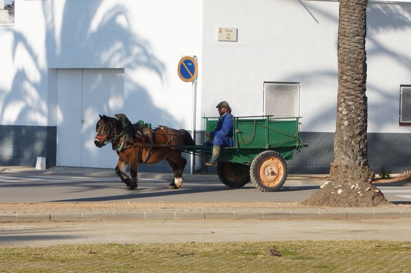 Carro tradicional en los campos del Delta del Ebro