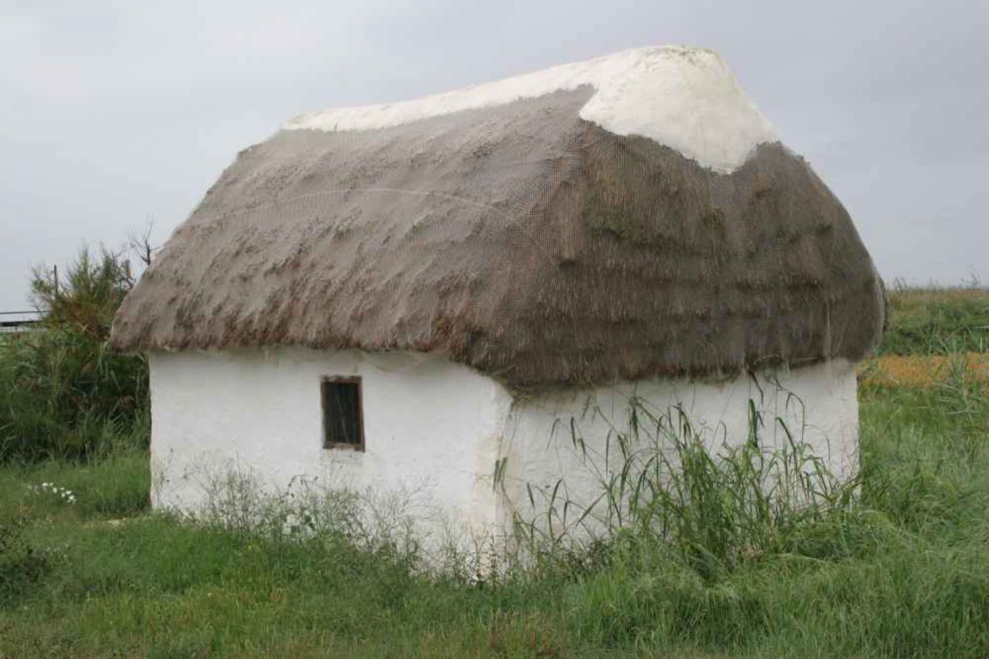 Barraca de tejado de paja del Delta del Ebro